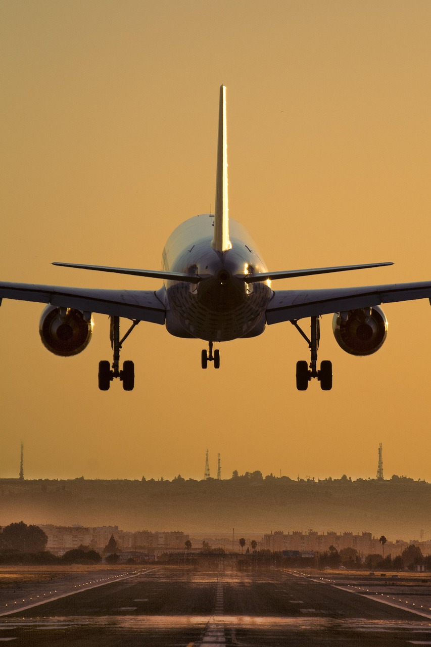 fly, air, sky, travel, transportation, flight, transport, tourism, summer, holiday, trip, airplane, plane, vacation, high, hot, color, nature, business, brown plane, brown airplane